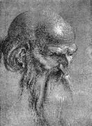 Albrecht Durer Head of an Apostle Looking Downward china oil painting artist
